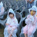 상무평화공원 축구장 (옥외2) | 장성 상무평화공원 썸머뮤직페스타 대형슬라이드 수영장에 진심이네!