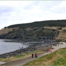 사계올레 이미지