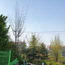 산골어린이공원 이미지