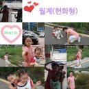 녹천 이미지