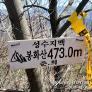 도인로 티스토리