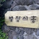 별장서홍 | [제주 서귀포] 별장서홍 내돈내산 완전 만족 후기