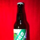 (주)코리아세븐 대구내당대로점 | 수제 맥주 좋아하세요? KIBEX 2023 관람기 : 생극양조 UF BEER