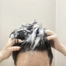 모두의 단백질 | 앙방 약산성 퍼퓸 두피샴푸 메리미달링향, 향과 케어 모두 만족한 단백질샴푸 추천 후기