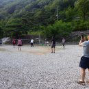 대성사슴농장 이미지