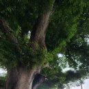 치산123민박 이미지