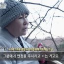 대도 이미지