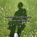 예다사랑 | 사랑 명상 978