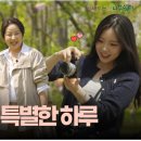 서초구립 느티나무어린이집 네이버블로그