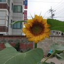 이재두행정사사무소 이미지
