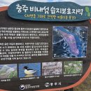 소리의섬 이미지