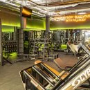 휘트니스풀바디 이미지