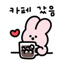 손씨(sonsy)