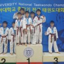 내체력 태권도장 네이버블로그
