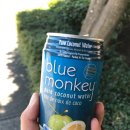 블루몽키(BLUE MONKEY) 이미지
