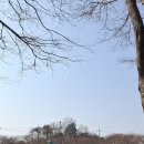 수원-0220 이미지