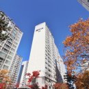 미메이드 이미지