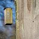 신한은행(부전동지점) 이미지