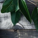 광주의상실 이미지