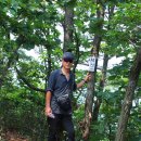 내촌육교 - 포천시 | [고흥]지죽도(금강죽봉),활개바위 산행후기---2019년 7월 14일(일)
