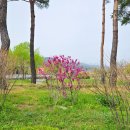 왕숙천수변공원길 이미지