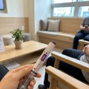 환22 | 다이어트환 가격 부작용 솔직 후기: 3개월 -12kg 감량하며 느낀 정체기 극복법과 유지기 가이드