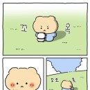 비바케밥 이미지