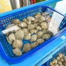 호남수족관