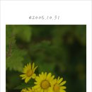 포근한 여백 이미지