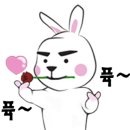 유디자인호텔 이미지