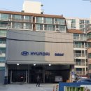 블루핸즈