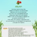 [뮤지컬] 알로하, 나의 엄마들 : 국립극장 해오름 (JTN멤버십)