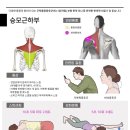 봉담정성365한의원 이미지