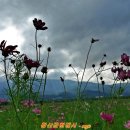 황산공원(황산B) 이미지