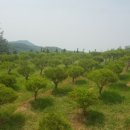 오산한국병원 이미지