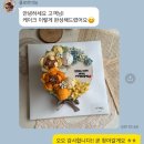 플로르케이크 이미지