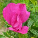 달밭골나눔터 이미지