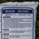 동해종묘사 이미지