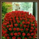 라인댄스2 이미지