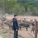 부경농장 이미지