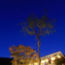 노일리 마을회관 이미지