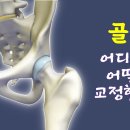 [ 마름모코어 시즌2-19 ] 골반은 몸통부터 교정할까? 발부터 교정할까? / 유연성 향상과 교정을 동시에 할 수 있는 운동법 이미지