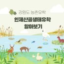 기린초등학교 진동분교 | 강원도 인제산골생태유학이란? 24년1학기 오리엔테이션