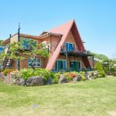 달빛 아리수 이미지