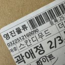 리나네