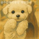 광주강아지분양 애견만세 | 광주강아지분양 애견만세 투명하고 정직한 분양업체