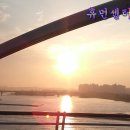 머지션연구원 이미지