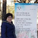 꽃보람 이미지