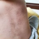 수원중부경찰서어린이집
