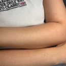 배곧애견샵 | 배곧최초퀵왁싱 추천 우호뷰티 배곧본점 팔 하프 저통증 신속 정확 후기를 남깁니다
